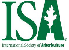 ISA Logo