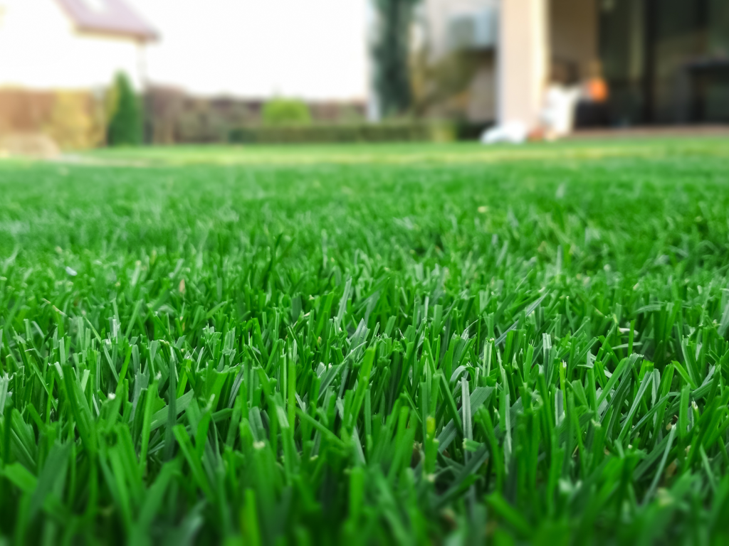 4 Steps for Lawn Fertilization and Weed Control in Hudson Valley