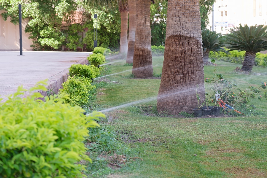 The Essentials of Fall Lawn Care