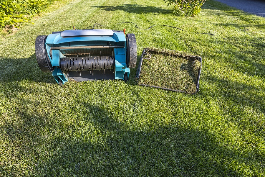 Overseeding & Aeration: What You Need to Know